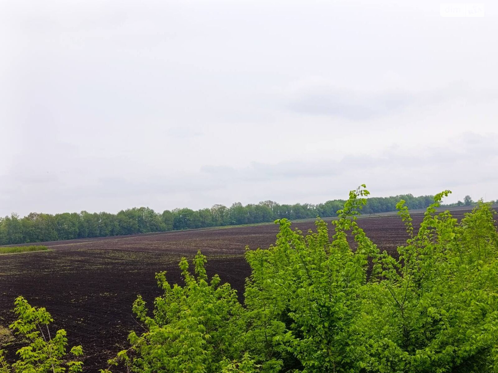 Земельна ділянка сільськогосподарського призначення в Вінницьких Хуторах, площа 137 соток фото 1 Земельна ділянка сільськогосподарського призначення в Вінницьких Хуторах, площа 137 соток фото 1