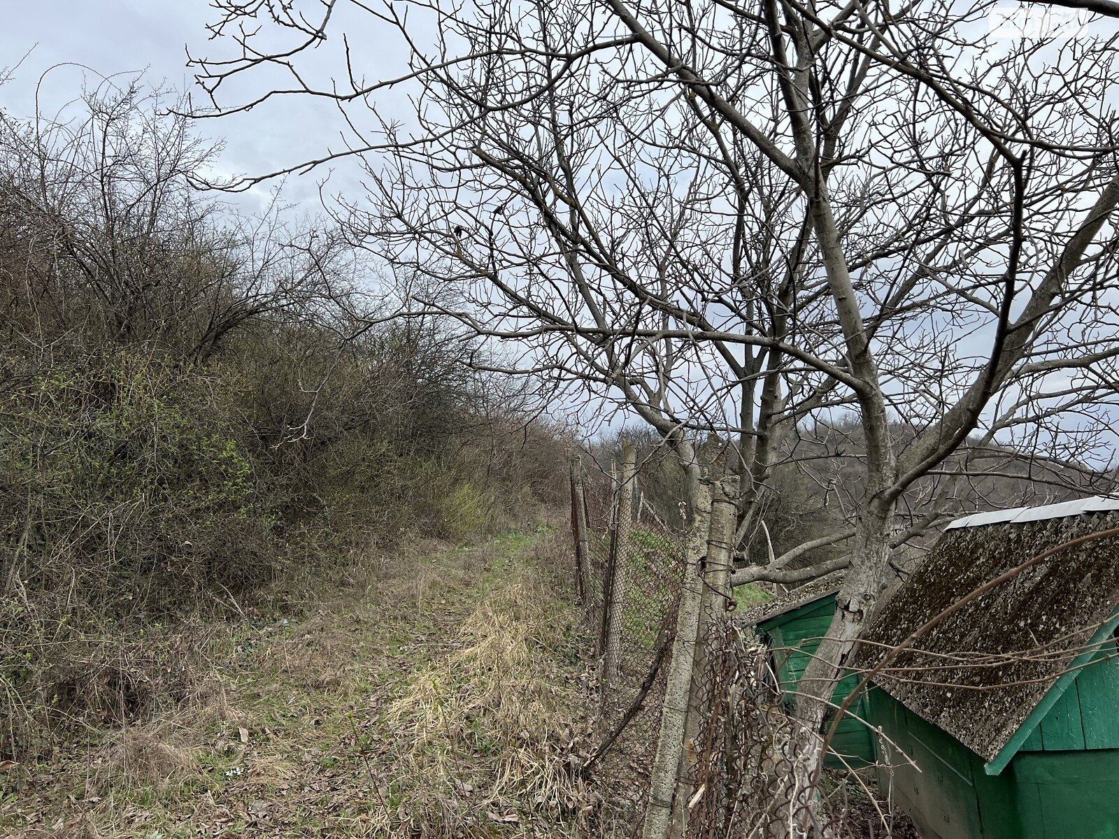 Земля сельскохозяйственного назначения в Виноградове, район Виноградов, площадь 15 соток фото 1