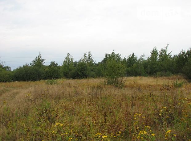 Продаж землі сільськогосподарського призначення, Київська, Вишгород, c. Старі Петрівці Продаж землі сільськогосподарського призначення, Київська, Вишгород, c. Старі Петрівці