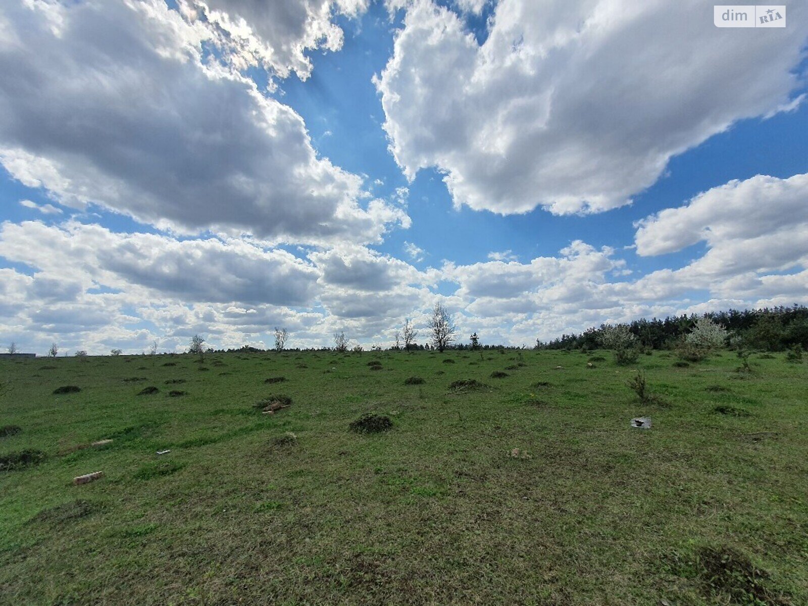 Земельна ділянка сільськогосподарського призначення в Водичці, площа 15 соток фото 1