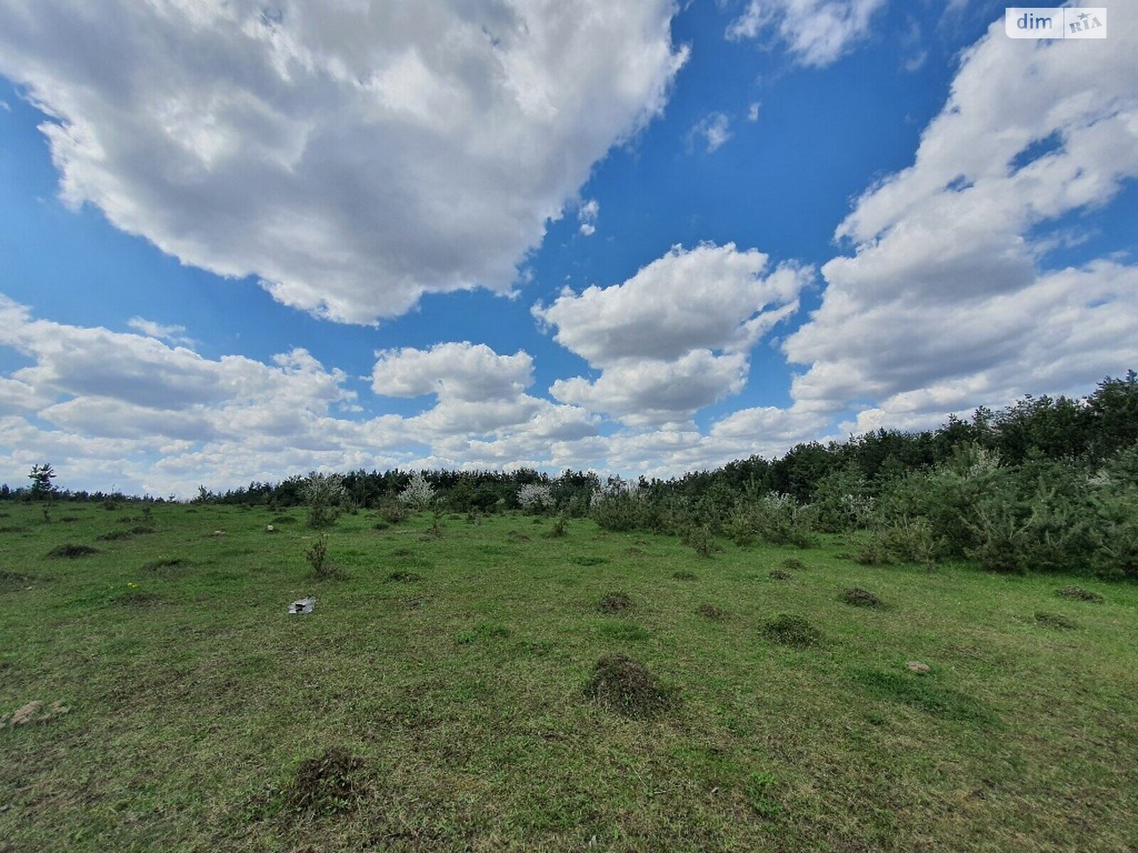 Земельна ділянка сільськогосподарського призначення в Водичці, площа 15 соток фото 1