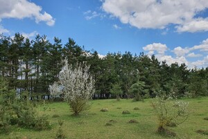 Земельна ділянка сільськогосподарського призначення в Водичці, площа 30 соток фото 2