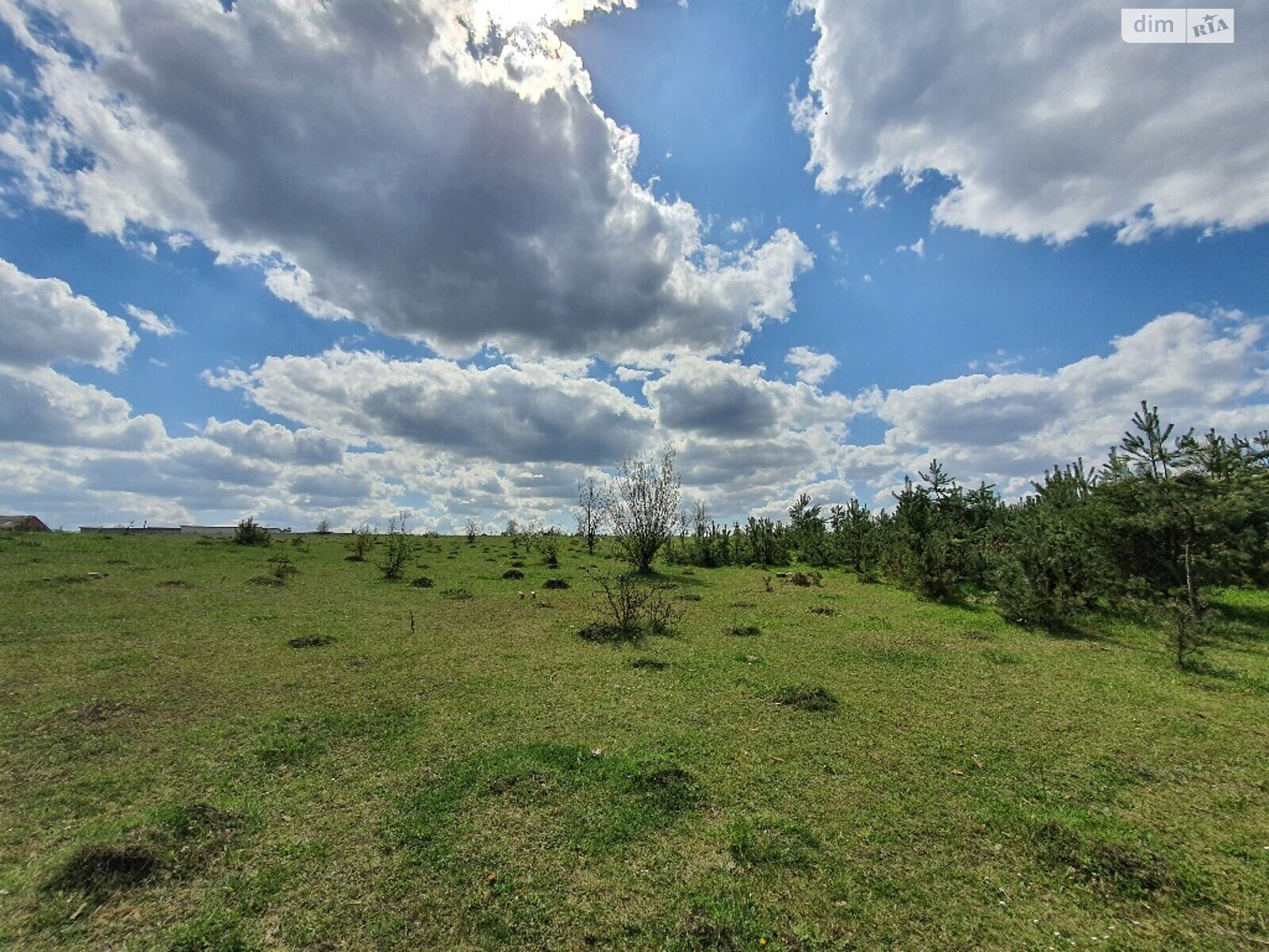 Земельный участок сельскохозяйственного назначения в Водичке, площадь 30 соток фото 1
