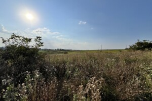 Земельна ділянка сільськогосподарського призначення в Водичці, площа 48 соток фото 2
