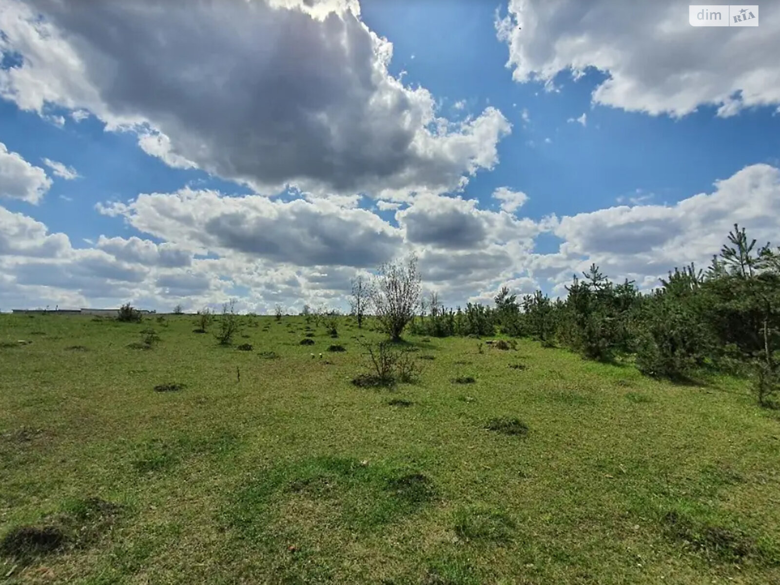 Земельна ділянка сільськогосподарського призначення в Водичці, площа 30 соток фото 1 Земельна ділянка сільськогосподарського призначення в Водичці, площа 30 соток фото 1