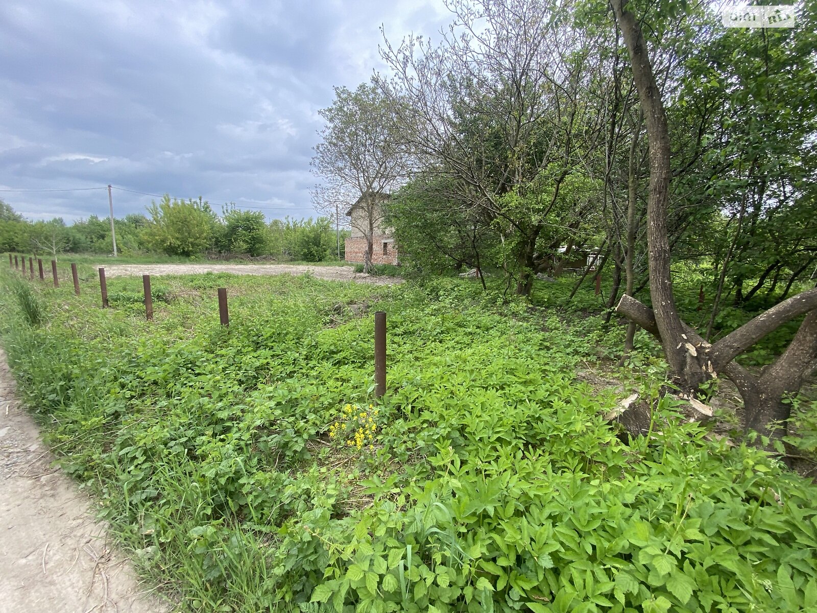 Земельна ділянка сільськогосподарського призначення в Вовчинцю, площа 6 соток фото 1