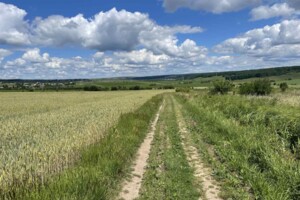 Земельна ділянка сільськогосподарського призначення в Вовчинцю, площа 10 соток фото 2