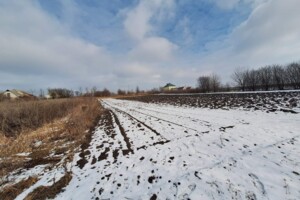Земельна ділянка сільськогосподарського призначення в Вовчій Горі, площа 40 соток фото 2