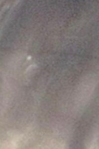 Земельна ділянка сільськогосподарського призначення в Вілії, площа 1.9487 Га фото 1 Земельна ділянка сільськогосподарського призначення в Вілії, площа 1.9487 Га фото 1