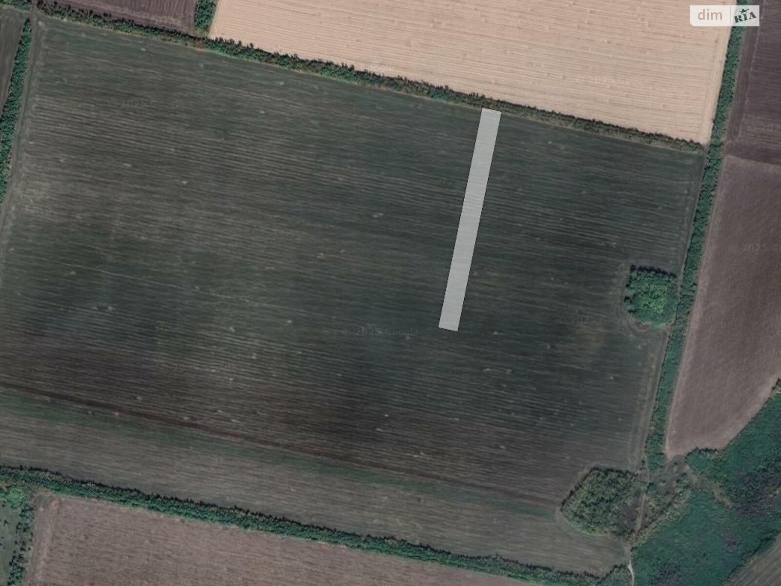 Земельный участок сельскохозяйственного назначения в Вольном, площадь 1.98 Га фото 1 Земельный участок сельскохозяйственного назначения в Вольном, площадь 1.98 Га фото 1