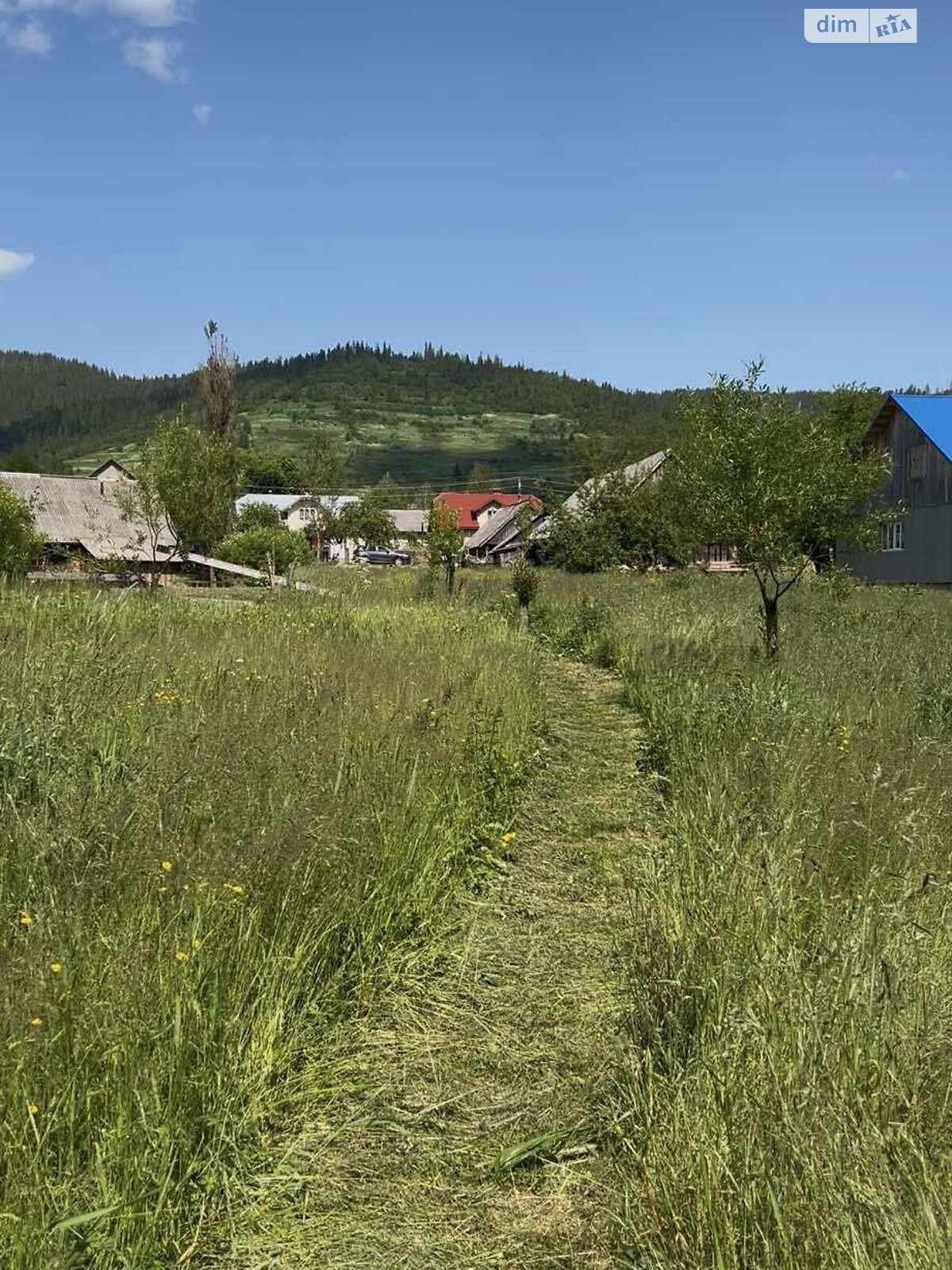 Земельна ділянка сільськогосподарського призначення в Волосянці, площа 7.78 сотки фото 1 Земельна ділянка сільськогосподарського призначення в Волосянці, площа 7.78 сотки фото 1