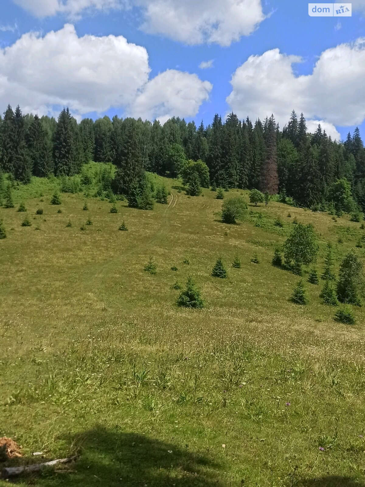 Земельный участок сельскохозяйственного назначения в Ворохте, площадь 1 Га фото 1