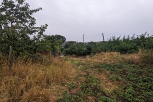 Земельна ділянка сільськогосподарського призначення в Вороновиці, площа 15.73 сотки фото 2
