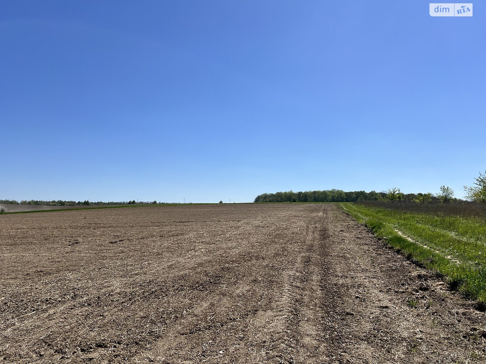 Земельный участок сельскохозяйственного назначения в Вороновице, площадь 50 соток фото 1