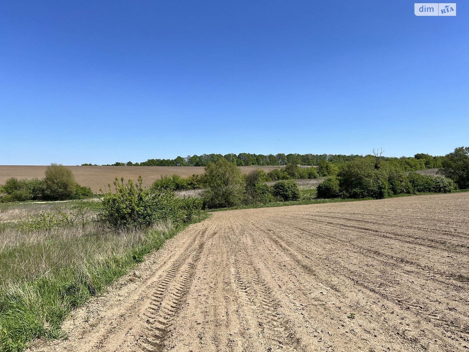 Земельный участок сельскохозяйственного назначения в Вороновице, площадь 50 соток фото 1