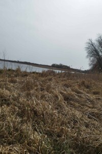 Земельна ділянка сільськогосподарського призначення в Ворошилівці, площа 28 соток фото 2