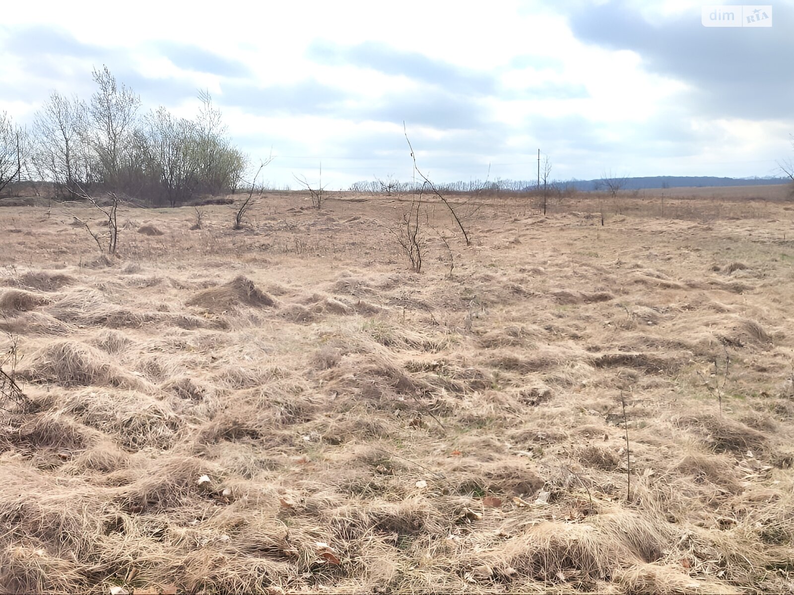 Земельна ділянка сільськогосподарського призначення в Ворошилівці, площа 4.2147 Га фото 1 Земельна ділянка сільськогосподарського призначення в Ворошилівці, площа 4.2147 Га фото 1