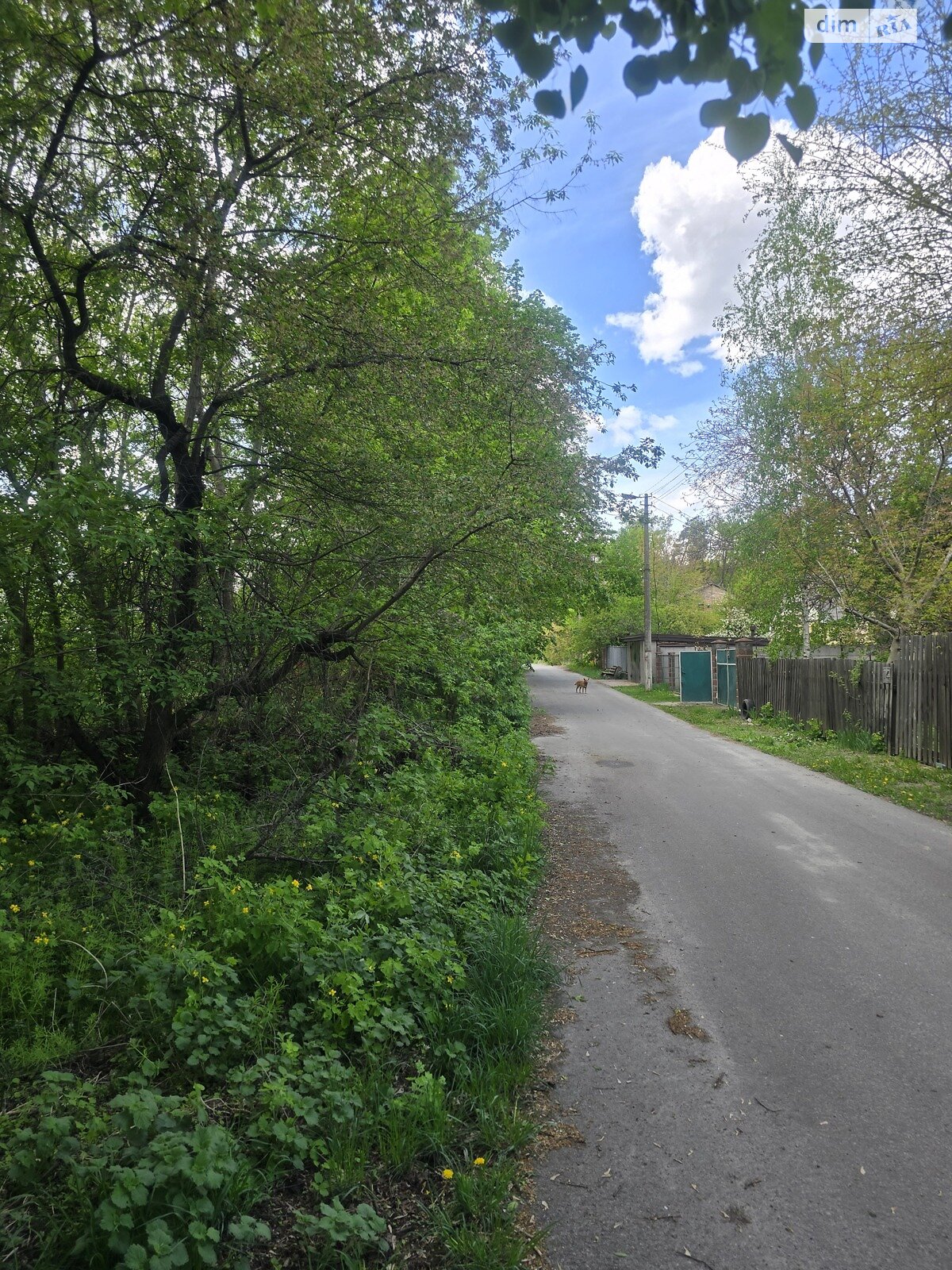 Земельный участок сельскохозяйственного назначения в Ворзеле, площадь 1 Га фото 1