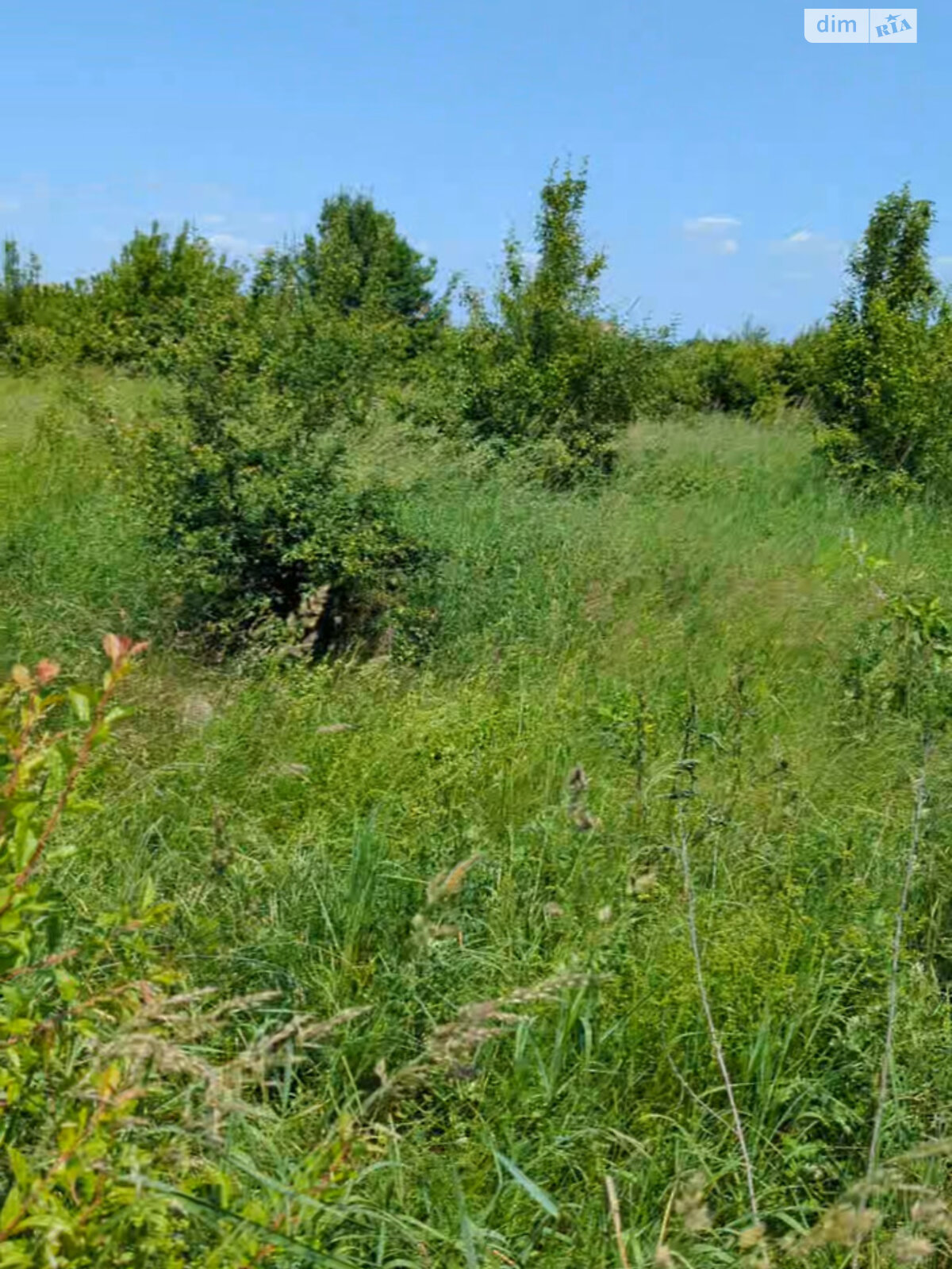 Земельна ділянка сільськогосподарського призначення в Воскресинці, площа 11.3 сотки фото 1 Земельна ділянка сільськогосподарського призначення в Воскресинці, площа 11.3 сотки фото 1