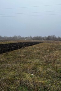 Земельна ділянка сільськогосподарського призначення в Військове, площа 12.96 сотки фото 2