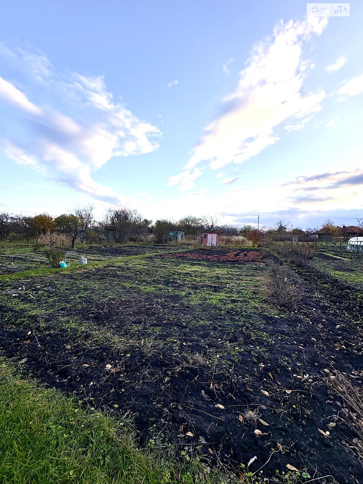 Земельный участок сельскохозяйственного назначения в Вторых Львовских Дачах, площадь 6 соток фото 1 Земельный участок сельскохозяйственного назначения в Вторых Львовских Дачах, площадь 6 соток фото 1