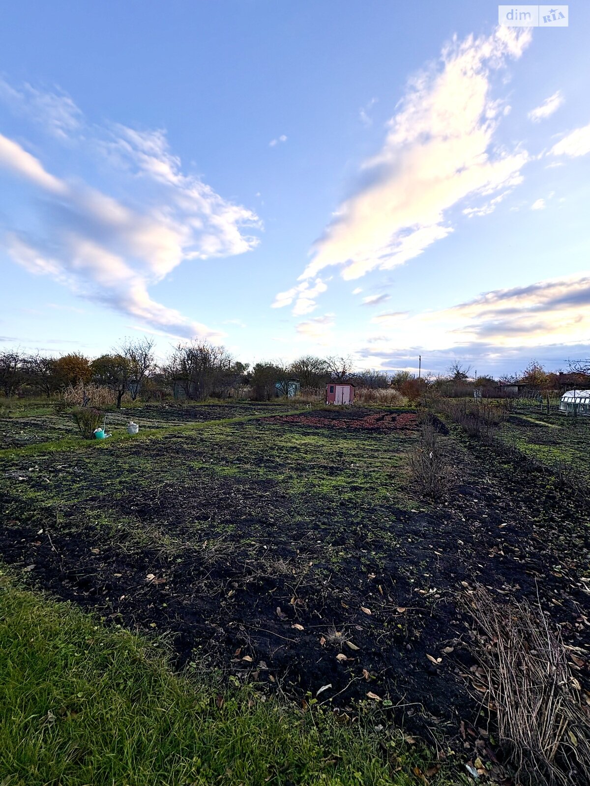 Земельный участок сельскохозяйственного назначения в Вторых Львовских Дачах, площадь 6 соток фото 1 Земельный участок сельскохозяйственного назначения в Вторых Львовских Дачах, площадь 6 соток фото 1