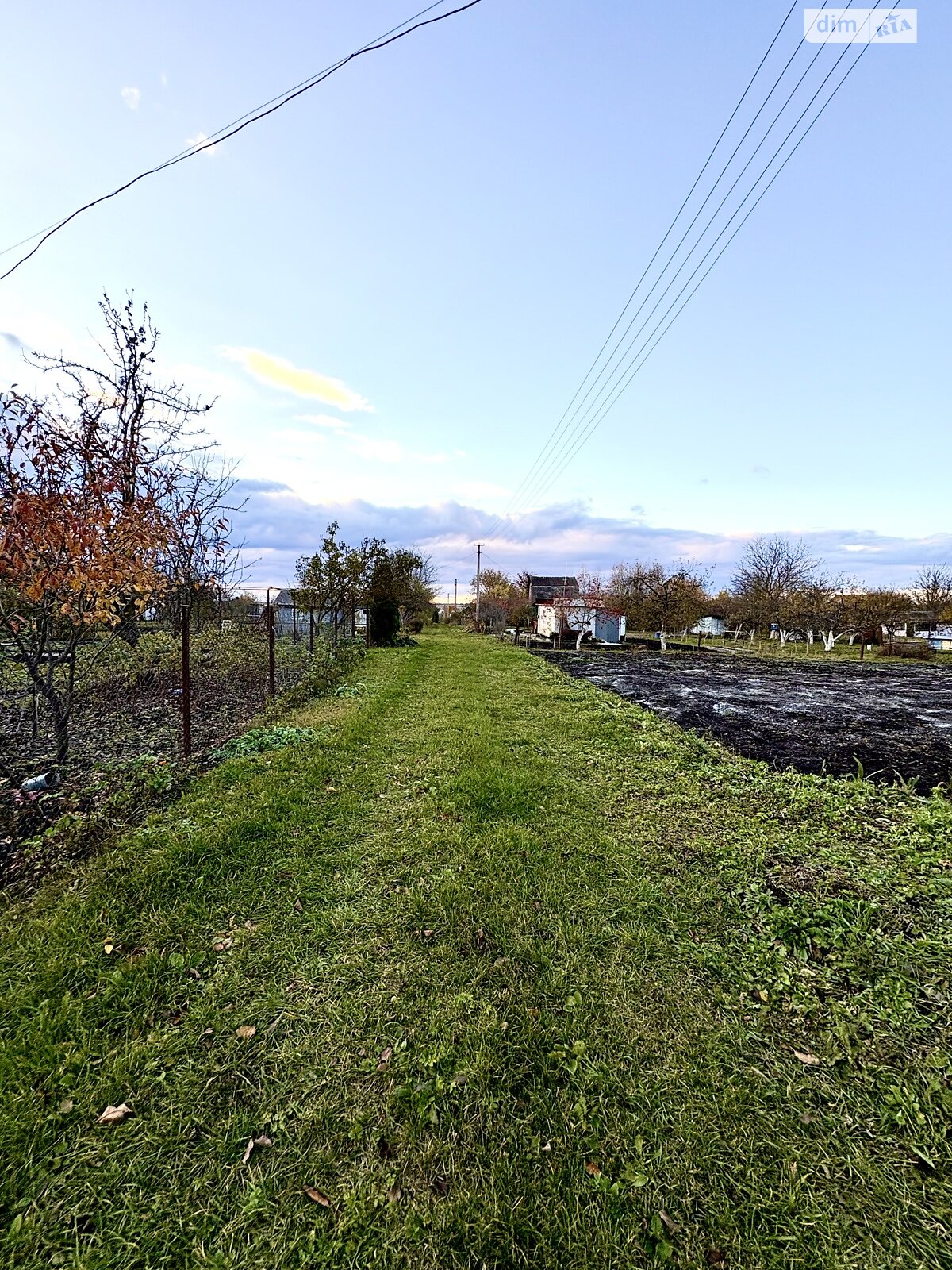 Земельный участок сельскохозяйственного назначения в Вторых Львовских Дачах, площадь 6 соток фото 1 Земельный участок сельскохозяйственного назначения в Вторых Львовских Дачах, площадь 6 соток фото 1