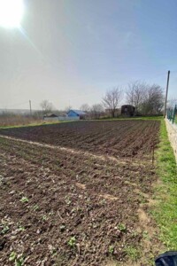 Земельный участок сельскохозяйственного назначения в Вторых Львовских Дачах, площадь 6 соток фото 2