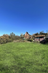 Земельна ділянка сільськогосподарського призначення в Видрові Доли, площа 18 соток фото 2