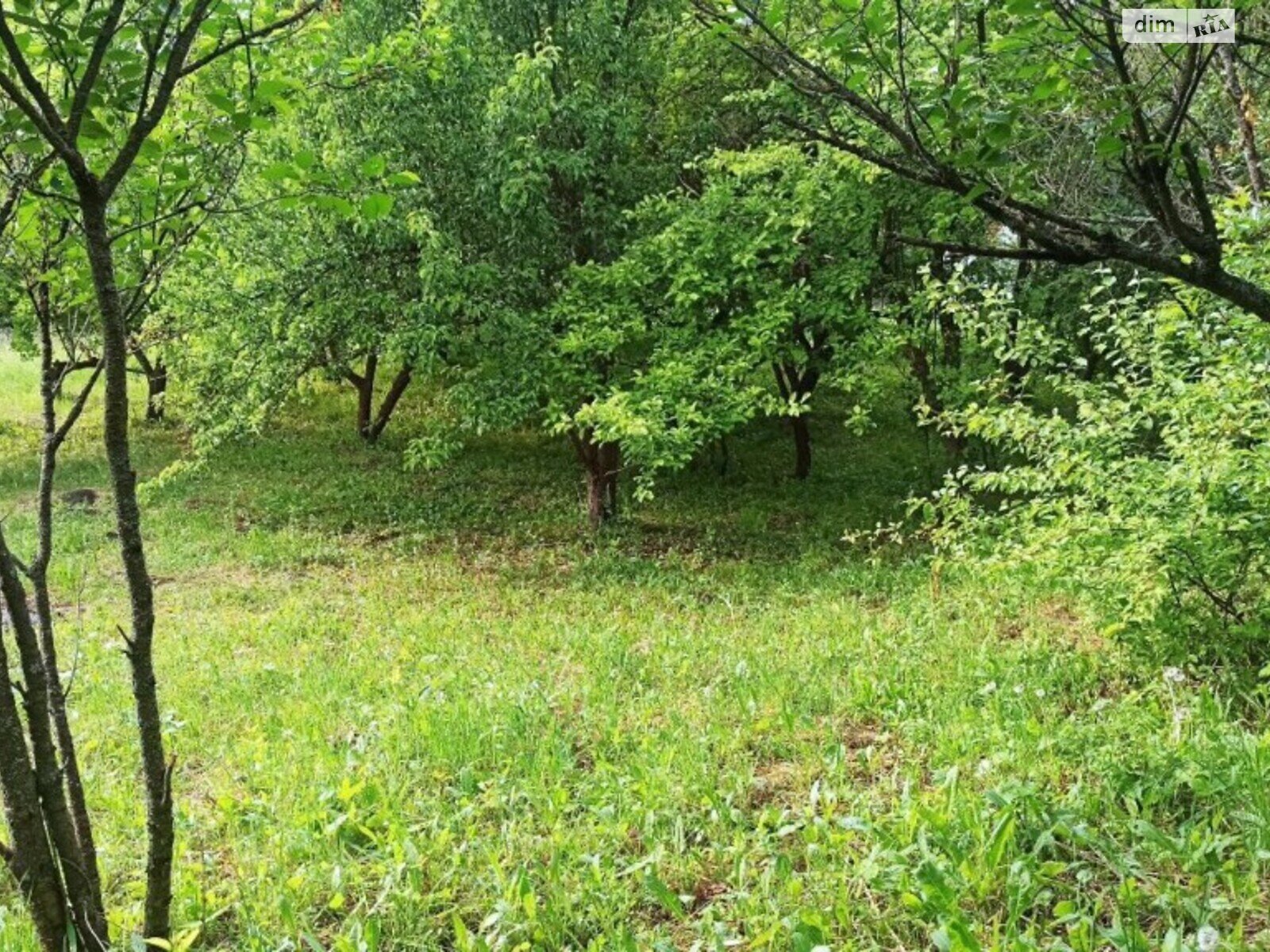 Земельна ділянка сільськогосподарського призначення в Видрові Доли, площа 6 соток фото 1