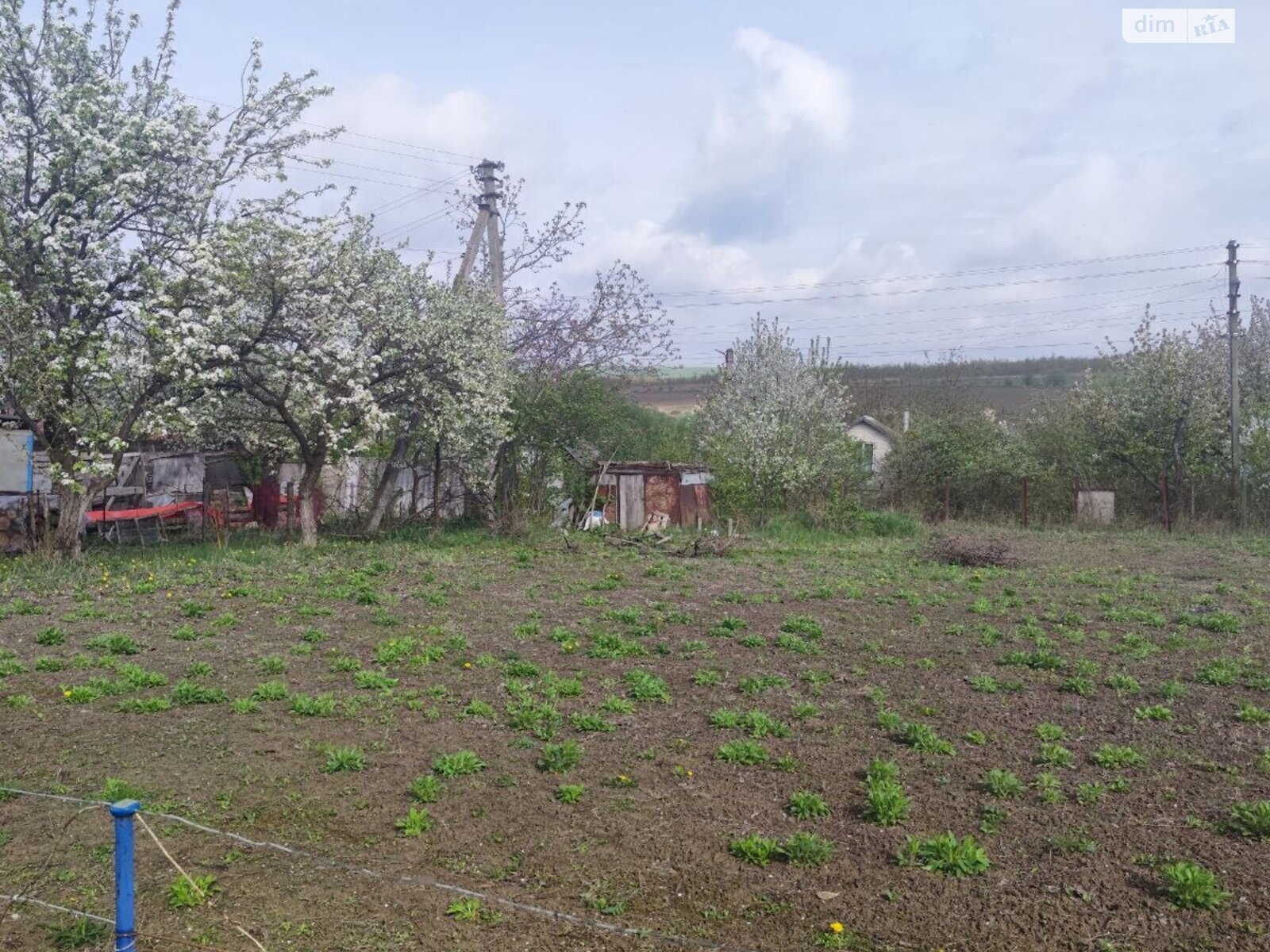 Земельный участок сельскохозяйственного назначения в Выдровые Долы, площадь 6 соток фото 1