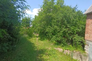 Земельна ділянка сільськогосподарського призначення в Видрові Доли, площа 6 соток фото 2