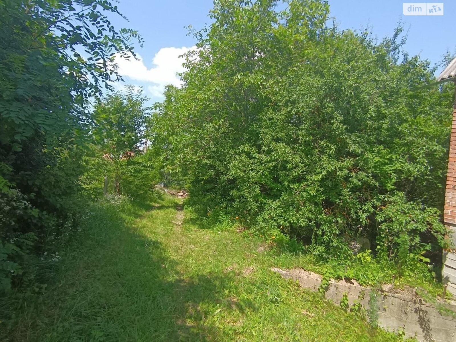 Земельна ділянка сільськогосподарського призначення в Видрові Доли, площа 6 соток фото 1