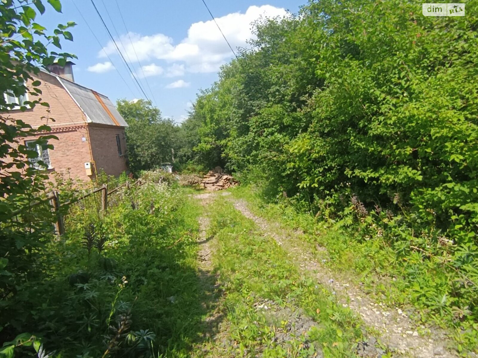 Земельна ділянка сільськогосподарського призначення в Видрові Доли, площа 6 соток фото 1