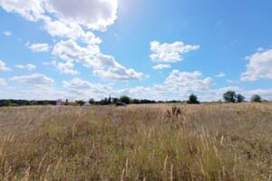 Земельна ділянка сільськогосподарського призначення в Видрові Доли, площа 7.6 сотки фото 2