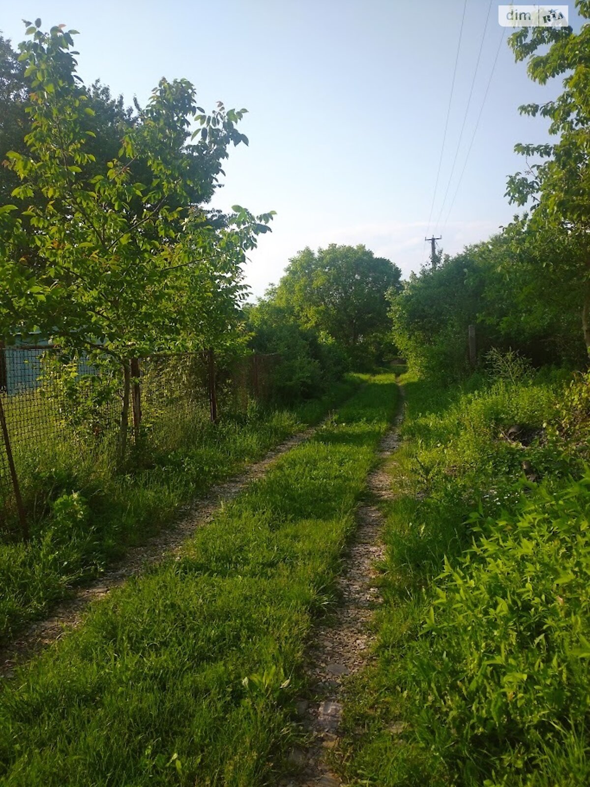 Земельна ділянка сільськогосподарського призначення в Видрові Доли, площа 5.7 сотки фото 1 Земельна ділянка сільськогосподарського призначення в Видрові Доли, площа 5.7 сотки фото 1