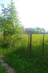 Земельна ділянка сільськогосподарського призначення в Видрові Доли, площа 5.7 сотки фото 2