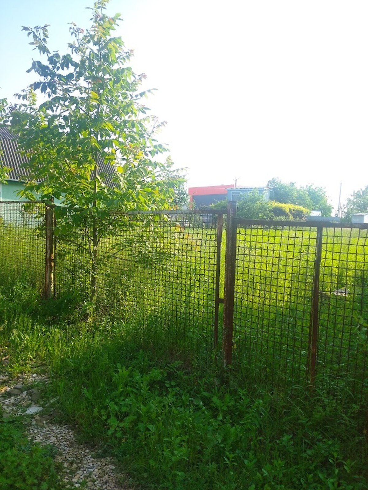 Земельна ділянка сільськогосподарського призначення в Видрові Доли, площа 5.7 сотки фото 1 Земельна ділянка сільськогосподарського призначення в Видрові Доли, площа 5.7 сотки фото 1