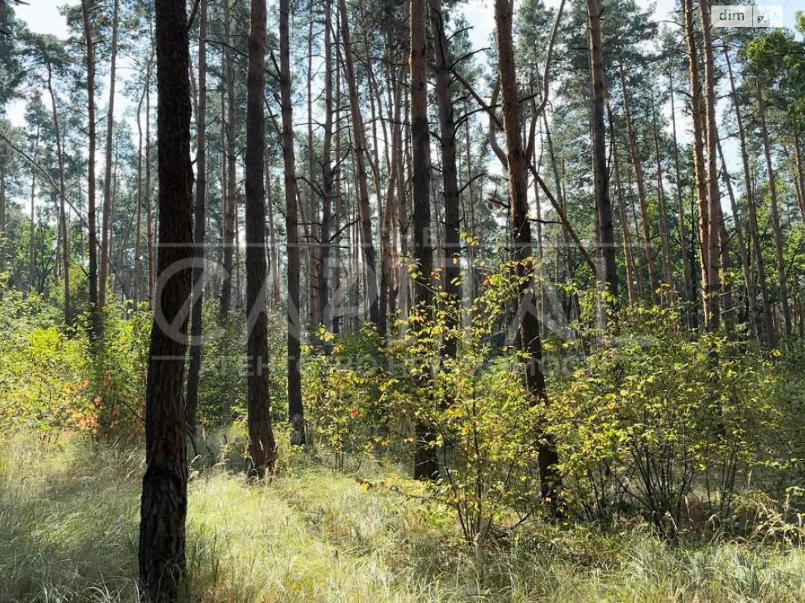 Земельна ділянка сільськогосподарського призначення в Вишгороді, площа 35 соток фото 1