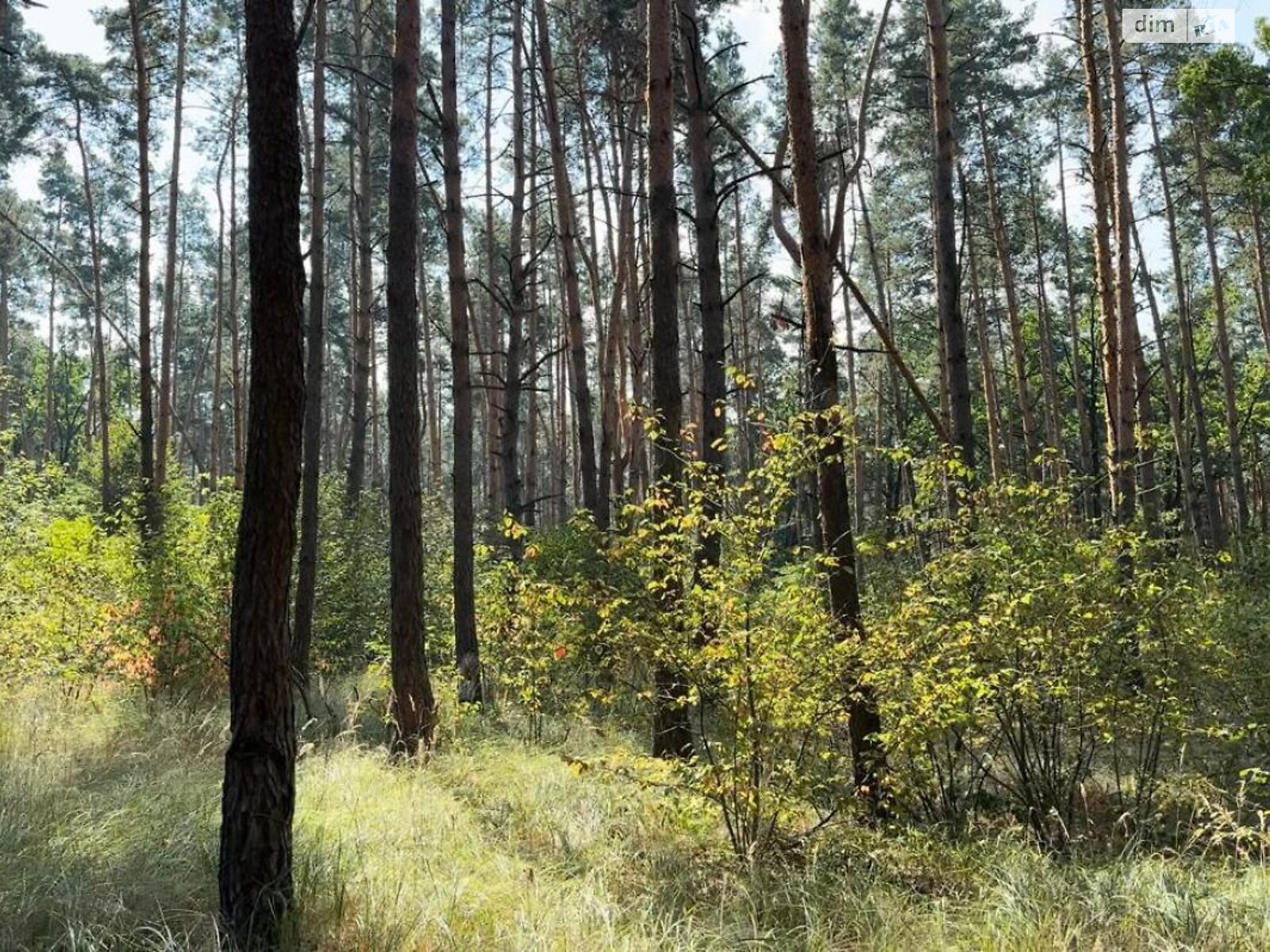 Земельна ділянка сільськогосподарського призначення в Вишгороді, площа 35 соток фото 1