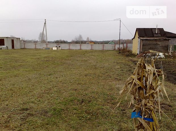 Продаж землі сільськогосподарського призначення, Київська, Вишгород, c. Сувид Продаж землі сільськогосподарського призначення, Київська, Вишгород, c. Сувид