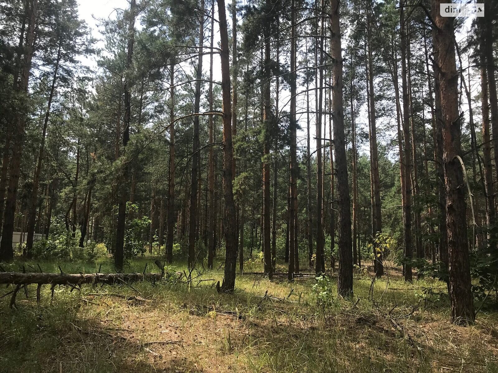 Земля сельскохозяйственного назначения в Вышгороде, район Вышгород, площадь 164 сотки фото 1