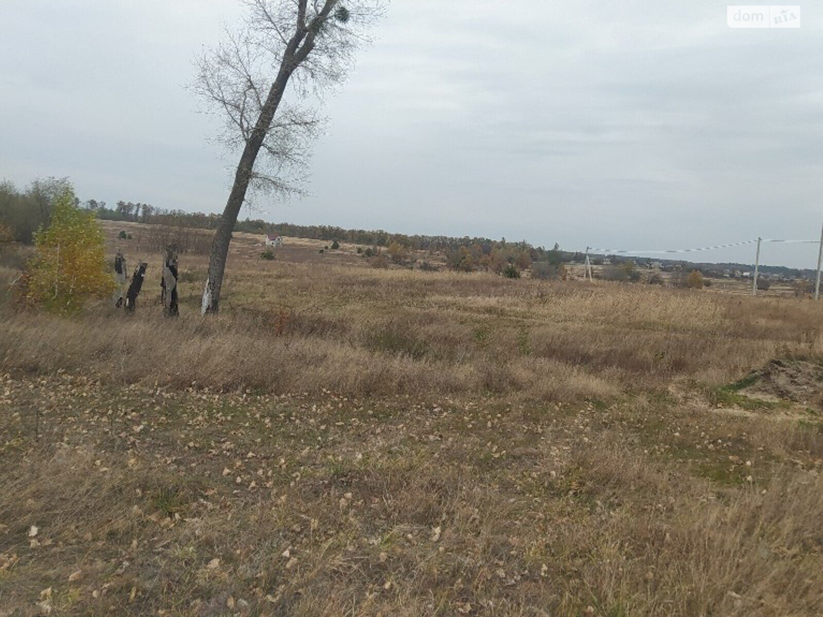 Земельный участок сельскохозяйственного назначения в Дымере, площадь 1500 соток фото 1
