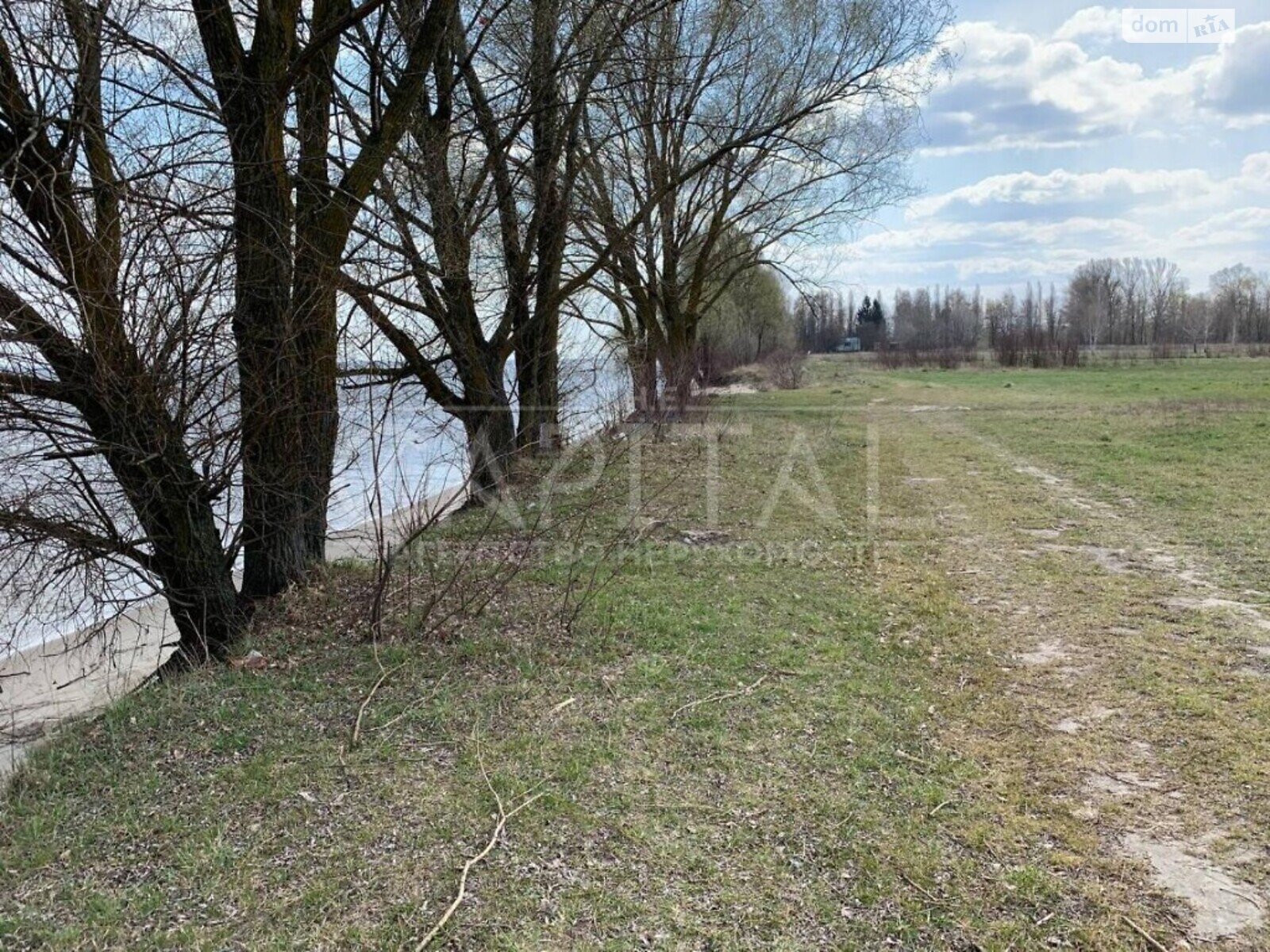 Земельный участок сельскохозяйственного назначения в Козаровичах, площадь 108 соток фото 1