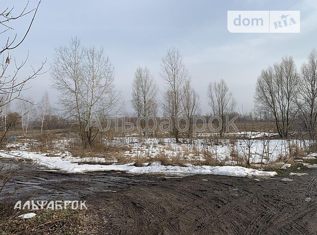 Земля сельскохозяйственного назначения в селе Новоселки, площадь 400 соток фото 1 Земля сельскохозяйственного назначения в селе Новоселки, площадь 400 соток фото 1