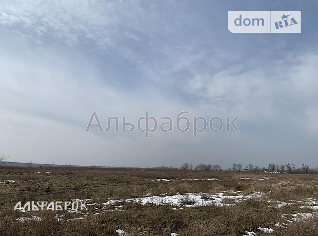 Земля сельскохозяйственного назначения в селе Новые Петровцы, площадь 2500 соток фото 1 Земля сельскохозяйственного назначения в селе Новые Петровцы, площадь 2500 соток фото 1