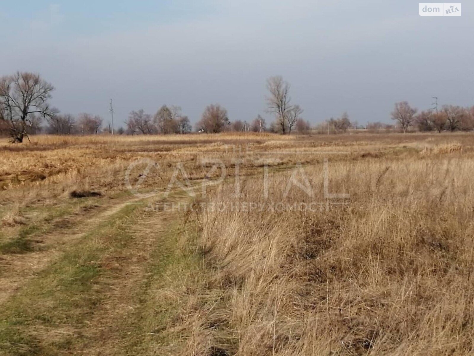 Земельна ділянка сільськогосподарського призначення в Сувиді, площа 300 соток фото 1