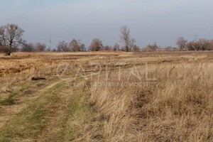 Земельный участок сельскохозяйственного назначения в Сувиде, площадь 600 соток фото 2