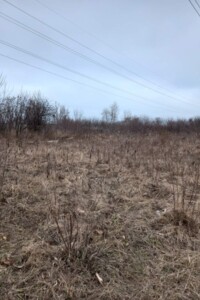 Земля сельскохозяйственного назначения в Вышгороде, район Вышгород, площадь 20 соток фото 2