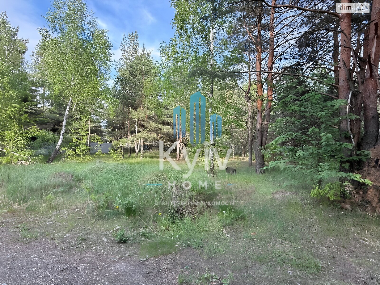 Земля сельскохозяйственного назначения в Вышгороде, район Вышгород, площадь 12 соток фото 1 Земля сельскохозяйственного назначения в Вышгороде, район Вышгород, площадь 12 соток фото 1